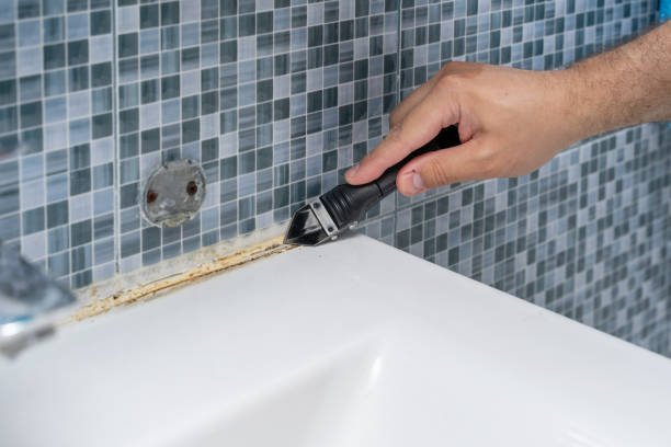  Atherton, CA Mold Removal Pros